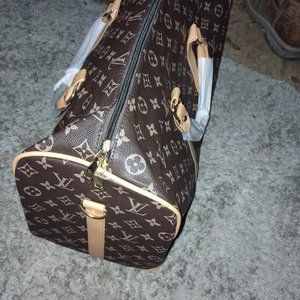 Louie Vuitton Luxury Travel Bag